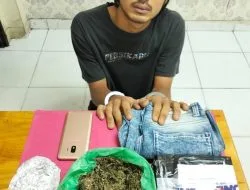 Polres Siak Ringkus Pengedar Ganja, Pemasok Masih Diburu
