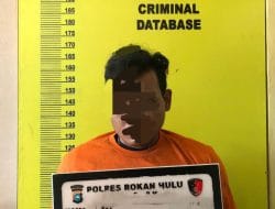 Diputusin Pacar, Pemuda di Rohul Ditangkap Polisi Gegera Sebar Video Porno