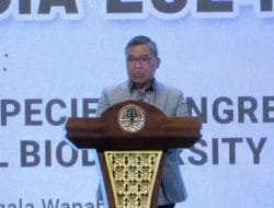 Konflik Antara Manusia dan Satwa, Berikut Penjelasan KLHK