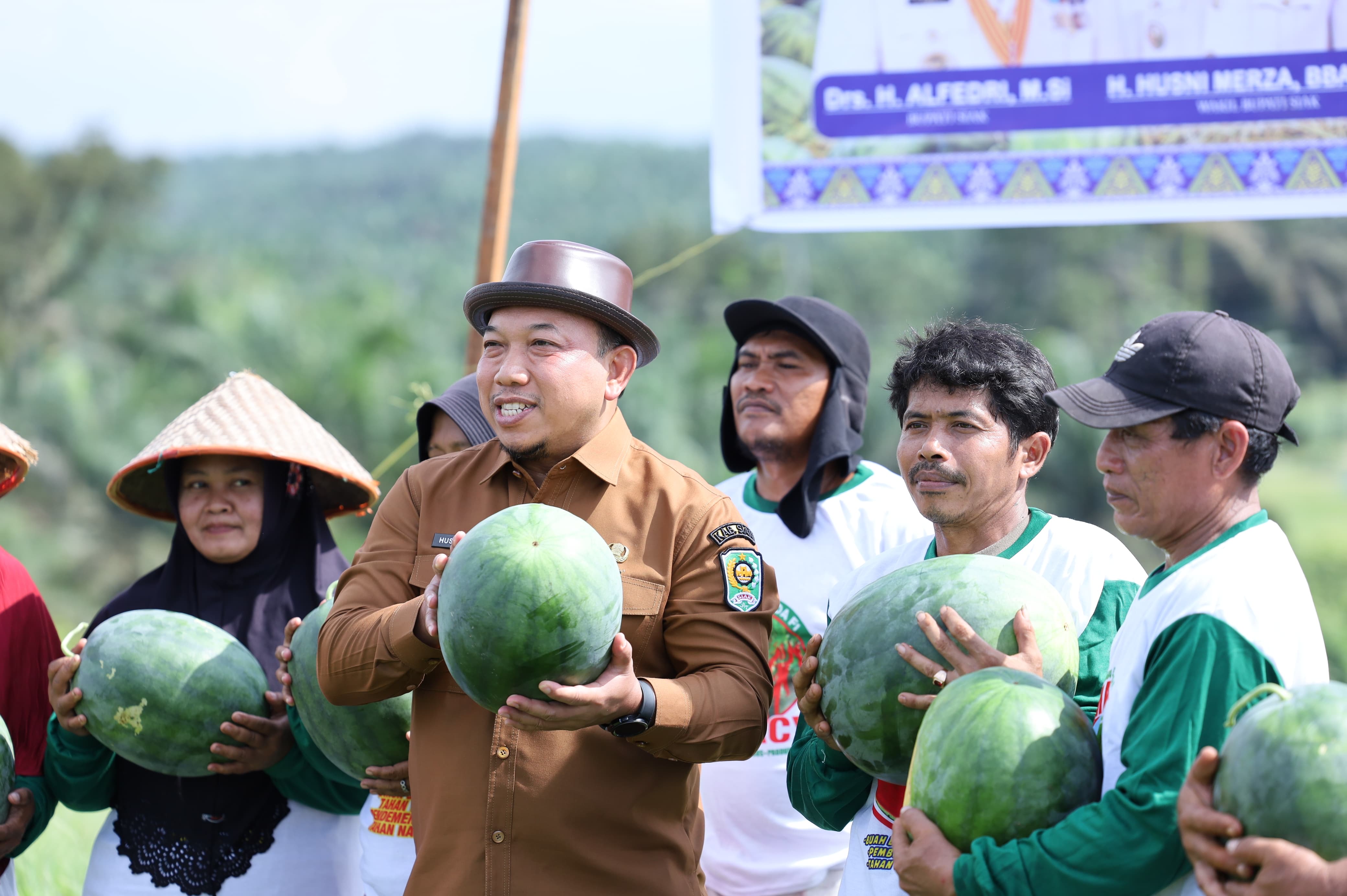 Manfaatkan Lahan Kosong, Petani Semangka di Siak Jual Hasil Panen Hingga Ke Jakarta