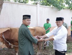 Usai Pelaksanaan Salat Ied Berjamaah, Polres Siak Sembelih 4 Ekor Sapi dan 3 Kambing