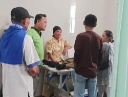 Hewan Kurban Ngamuk,  Seorang Pria di Lampung Tak Sadarkan Diri Usai Diterjang Sapi