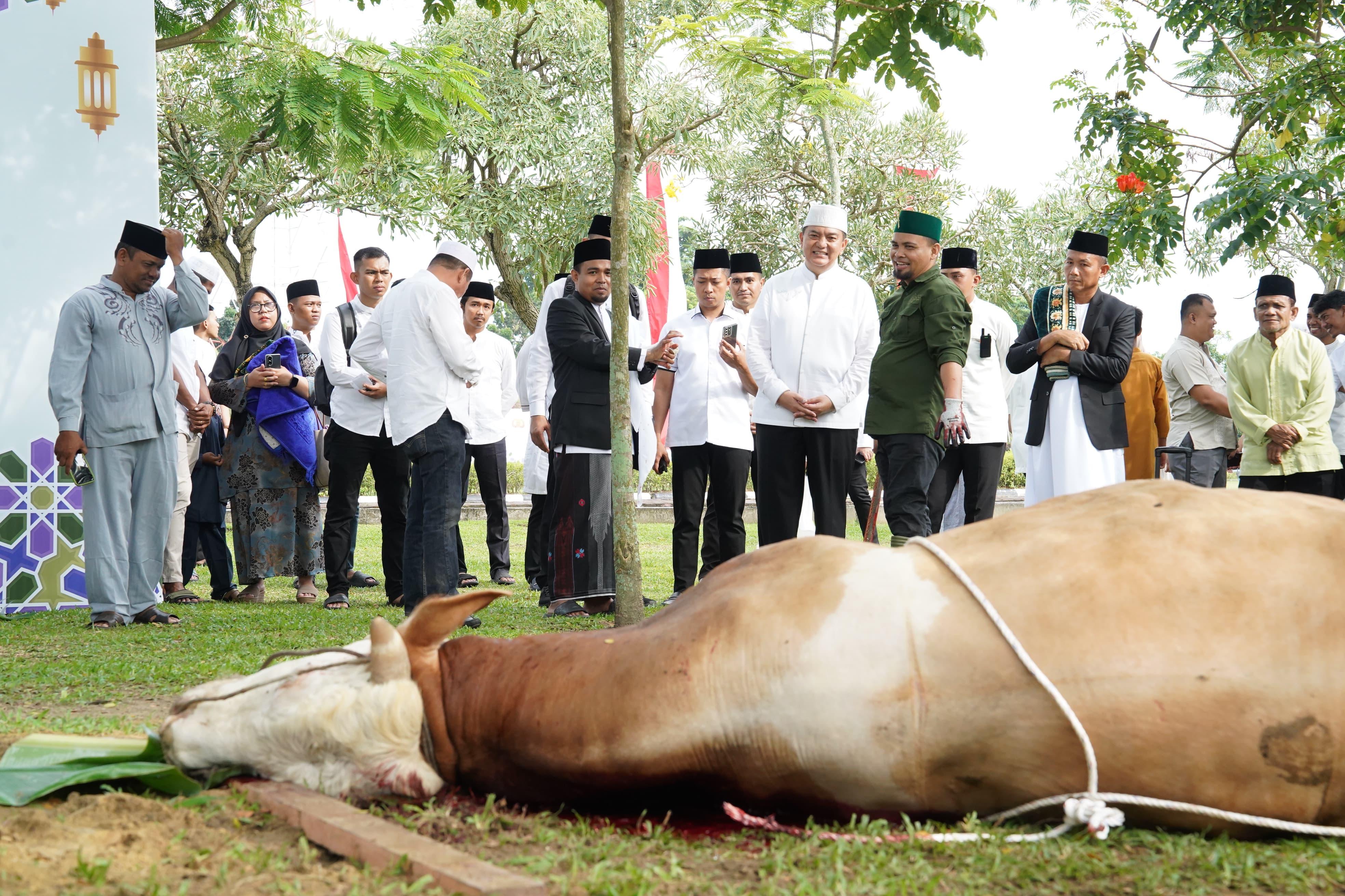 Sumbangkan 52 Ekor Hewan Kurban, Irjen Iqbal : Pendistribusian Daging Qurban Diperbanyak Untuk Fakir Miskin dan Kaum Duafa
