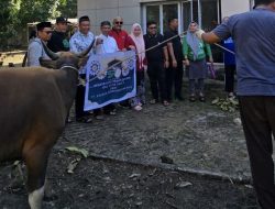 Idul Adha 1445 H, PT SPR Berbagi 5 Ekor Hewan Kurban