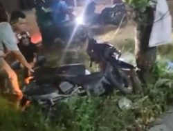Kabur dan Diburu Polisi, Pengedar di Pekanbaru Tabrak Pohon, Satu Kg Sabu Disita