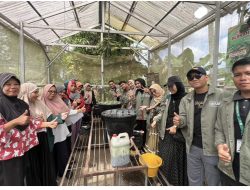 Mahasiswa KKN UMRI Perkenalkan Tanaman Hidroponik Kepada Warga Tenayan Raya