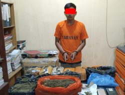 Polsek Tualang Amankan Seorang Pemuda di Perumahan PT IKPP, 7 Kg Ganja Disita