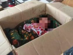Polsek Bukit Raya Selidiki Misteri Penemuan Bayi dalam Kardus