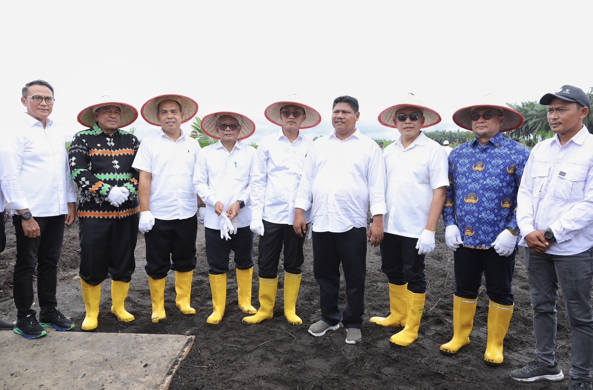 Program TAMPAN Diresmikan di Siak, Sinergi Peremajaan Sawit dan Swasembada Pangan Program TAMPAN Diresmikan di Siak, Sinergi Peremajaan Sawit dan Swasembada Pangan