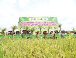 Panen Padi di Bungaraya, Sinergi Petani, Wabup Siak, dan Pj Gubernur Riau