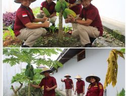 Rutan Siak Perkuat Ketahanan Pangan Lewat Budidaya Pisang, Cabe, dan Pepaya