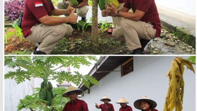 62a6ca38-9aed-4868-a4ce-6d23144459cd