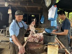 Kisah Sukses Pedagang Ayam Potong di Perawang: Inspirasi Bisnis untuk Kaula Muda