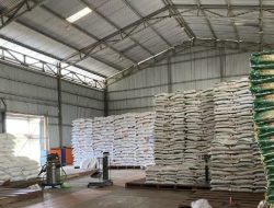 Bulog Pastikan Stok Beras Riau Aman hingga 5 Bulan Kedepan