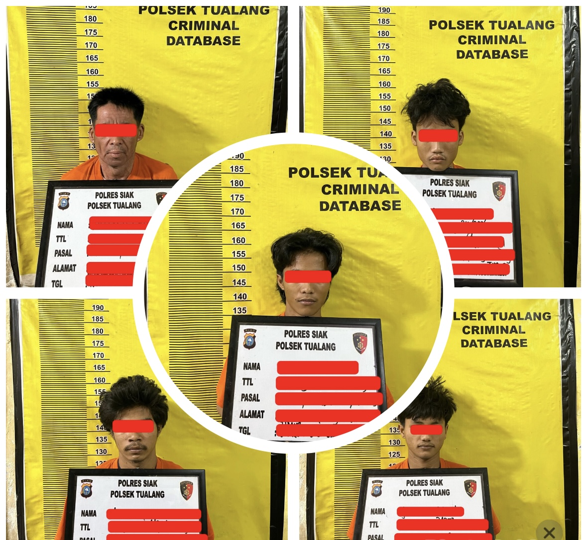 Polsek Tualang Berhasil Bongkar Sindikat Pencurian, 4 Pelaku dan 1 Penadah Diringkus