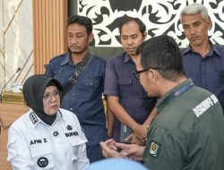 Honorer R2 dan R3 Temui Bupati Afni, Suarakan Harapan Jadi PPPK