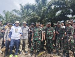 Ratusan Hektare Lahan Ilegal di TNTN Diserahkan dan Dimusnahkan Demi Konservasi