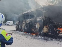 Bus Pariwisata Terbakar di Jalur Medan-Berastagi, 40 Penumpang Selamat dari Kobaran Api