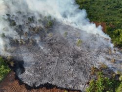Asap Pekat Selimuti Langit Siak, Empat Hektar Lahan Gambut di KITB Siak Terbakar