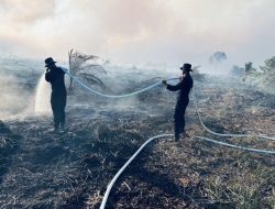 Karhutla di Riau Meluas, Tiga Negara Tetangga Dapat Kabut Asap Kiriman