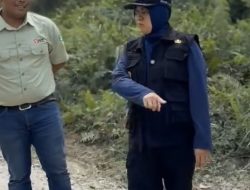 Ruas Jalan Sungai Mandau-Tualang Dapat Perhatian dari Perusahaan, Sepanjang 12 Km Diperbaiki