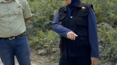 Ruas Jalan Sungai Mandau-Tualang Dapat Perhatian dari Perusahaan, Sepanjang 12 Km Diperbaiki