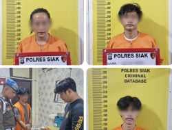Satnarkoba Polres Siak Ringkus Tiga Pelaku Narkoba, Satu Diantaranya Wanita
