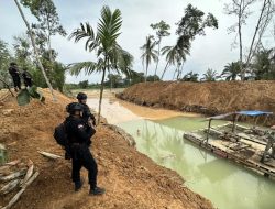 Tindak Aktivitas Peti, Brimob Polda Riau Dikirim Ke Kuansing Satu Kompi