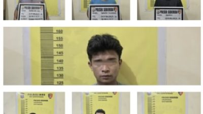 Polsek Seberida Ringkus 7 Pelaku Pencurian Sapi, Anak Korban Ikut Terlibat
