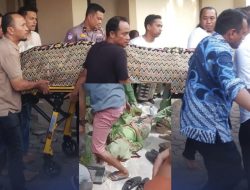 Putri Kapolres Solok Kota AKBP Mas’ud Ahmad Meninggal Dunia Usai Kecelakaan di Padang