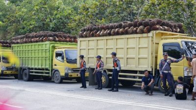 Puluhan Truk Sawit Overload Terjaring Razia Dishub Siak