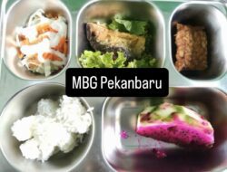 Wako Pekanbaru Ingatkan Pengelola MBG, Jangan Menyebabkan Anak-Anak Sakit