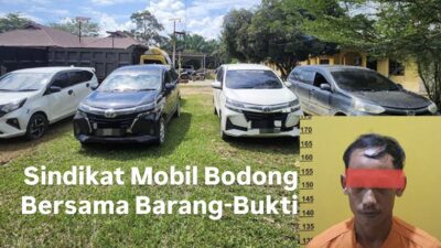 391E652F-0E9C-4B13-AA84-5704CDA50895