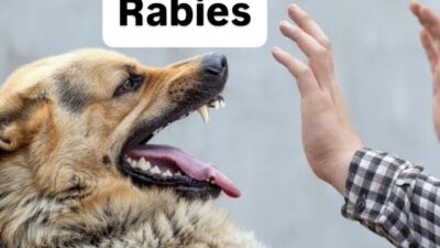 50782B36-C83D-4856-B716-BBA4554535F7