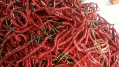 6de3bed2-ccbd-4855-932e-ac749637a1a3