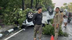 Mobil Xpander Terbalik Usai Tabrak Pohon di Sudirman Pekanbaru, Jadi Tontonan Warga Hingga Kemacetan