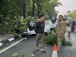 Mobil Xpander Terbalik Usai Tabrak Pohon di Sudirman Pekanbaru, Jadi Tontonan Warga Hingga Kemacetan