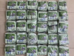 Mobil Nyangkut di Pembatas Jalan, Dua Kurir Narkoba Ditangkap di Pelabuhan Roro Dumai Bawa 30 Kg Sabu