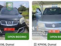 Pemkab Siak Tertibkan Aset Lewat Lelang Terbuka, Aset Tidur Kembali Jadi Rupiah