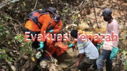 Enam Hari Pencarian, Petani Sawit Tiopan Siregar Ditemukan Tewas di Perkebunan Titian Antui