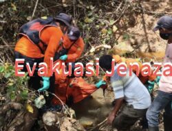 Enam Hari Pencarian, Petani Sawit Tiopan Siregar Ditemukan Tewas di Perkebunan Titian Antui