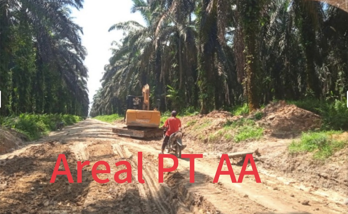 Hibah Sawit 200 Hektar PT Adimulia Agrolestari di Kuansing Diduga Kamuflase Gratifikasi Perpanjangan HGU