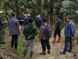 Tim QC-QA Agrinas Tinjau Operasional di Inhu-Riau