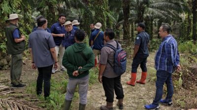 a6f4e456-991c-4426-9c28-f4b7de5e689a