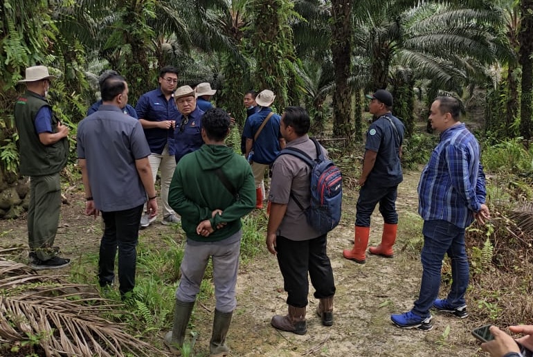 Tim QC-QA Agrinas Tinjau Operasional di Inhu-Riau Tim QC-QA Agrinas Tinjau Operasional di Inhu-Riau