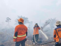 Asap Masih Membara di Riau, BPBD Damkar Kerahkan Helikopter Padamkan Karhutla di Tujuh Daerah