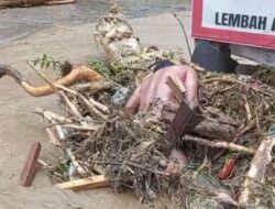 Tujuh Korban Banjir Bandang Lembah Anai Ditemukan di Kayu Tanam, 7 Jenazah Dievakuasi