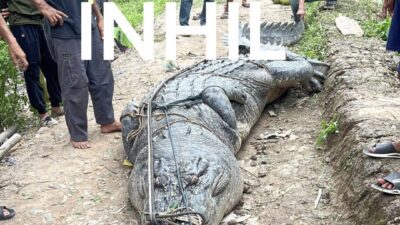 copy_BCF7AABA-0D36-487E-8D1A-4F06A26DDB65