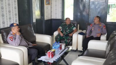 fe21fc80-0cc5-47a5-a100-233c92fdd8e4