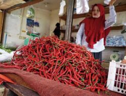 Harga Cabai di Siak Naik, Pemprov Riau Datangkan 2 Ton Cabai dari Pulau Jawa